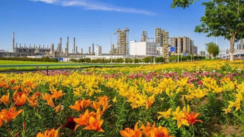 案例分析：如何规避采购陷阱