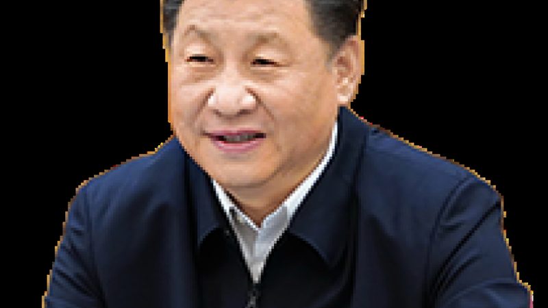 增稠剂价格之谜：揭秘一吨多少钱背后的真相**